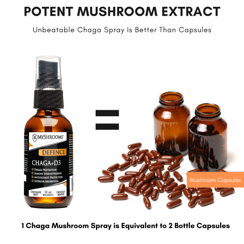 chaga-mushroom-supplement